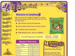 Play Zany Bingo Now
