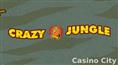 Crazy Jungle Slot