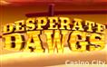 Desperate Dawgs Slot