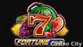 Fortune Five Slot