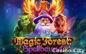 Magic Forest: Spellbound Slot