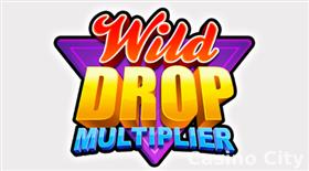 Wild Drop Multiplier Slot