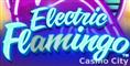 Electric Flamingo Slot