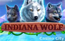 Indiana Wolf