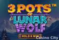 3 Pots of Lunar Wolf: Hold & Win Slot