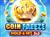 Coin Freeze: Hold & Hit 3x3