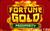 Fortune Gold Prosperity