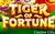 Tiger of Fortune