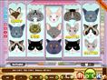 Cats Slot