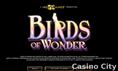 Birds of Wonder Slot