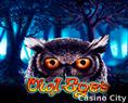 Owl Eyes Slot