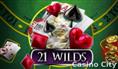 21 Wilds Slot