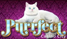 Purrfect Slot