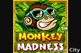 Monkey Madness Slot