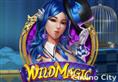 Wild Magic Slot