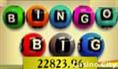 Bingo Big Slot