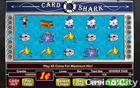 Card Shark Slot