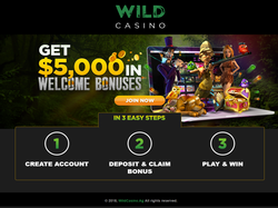 Play WildCasino Now