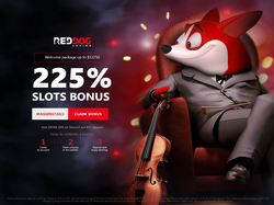 Play Red Dog Casino Now
