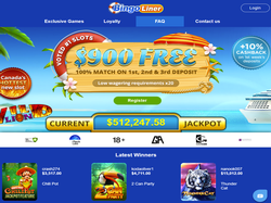 Play Bingo Liner Now