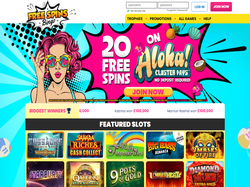 Play Free Spins Bingo Now