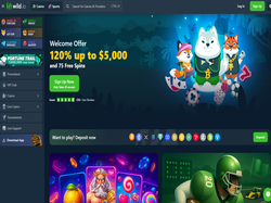 Play Wild.io Now