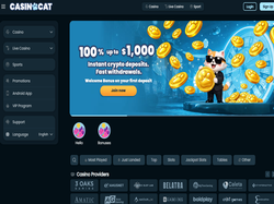 Play Casinocat Now