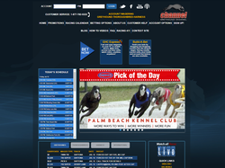 Play Greyhound Channel Now